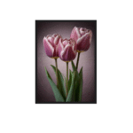 Luminary The Art Gallery/ Luminary Art/ large wall paintings framed canvas painting, canvas painting with frame, dining room painting, canvas flower painting, large canvas painting, landscape canvas art for walls, large framed wall art, canvas wall art for living room,, painting for dining room, Canvas wall art,